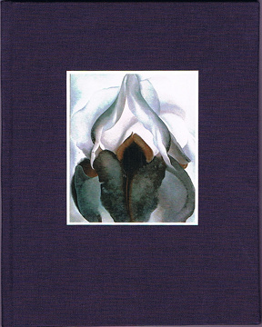 BlackIris-Titel