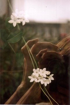 jasmin01